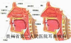 萎缩性白癜风有哪些并发症